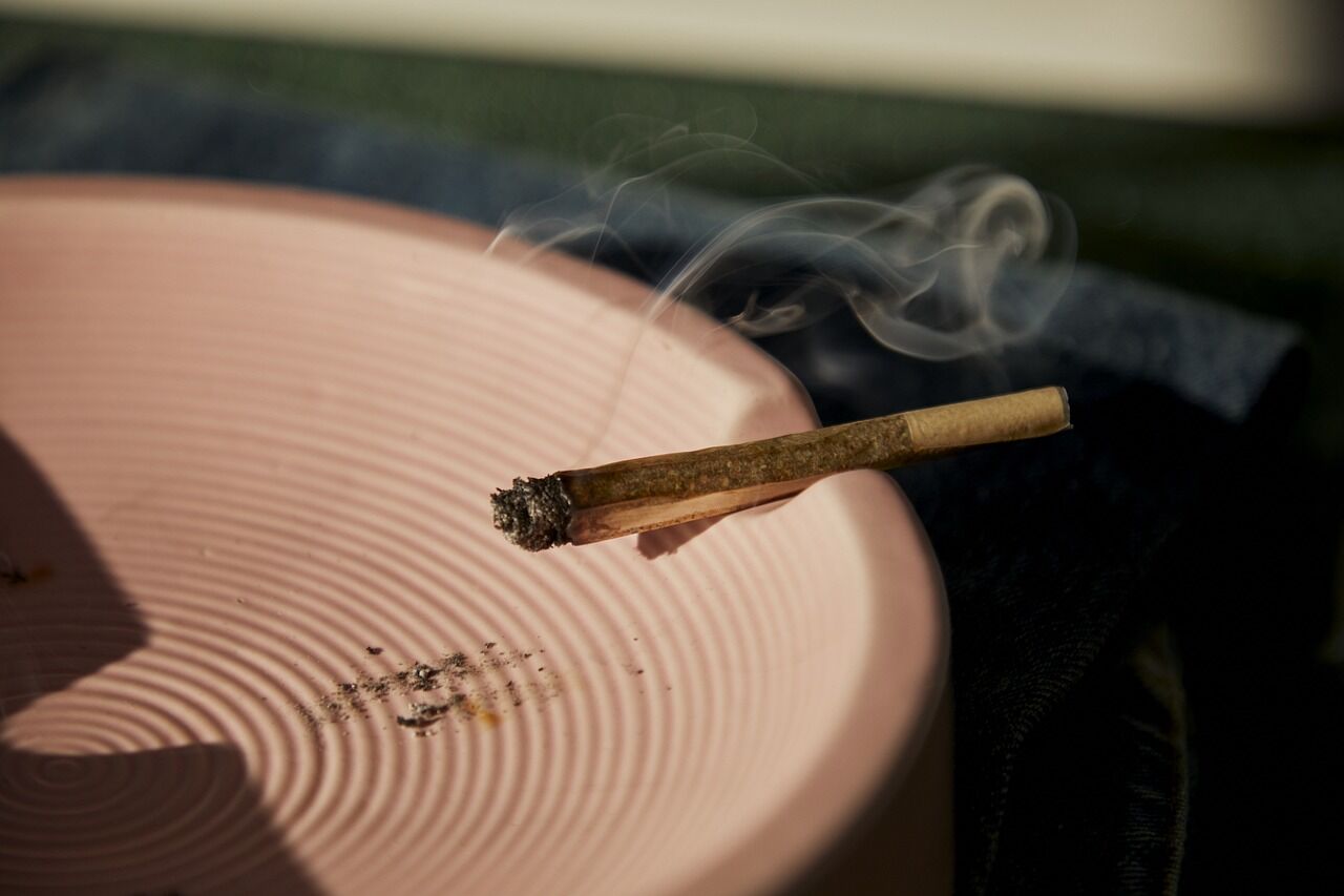 The Guide to Choosing the Perfect Pre-Roll at Your Favorite Dispensary Outlet